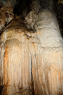 Aranui Cave Flowstone photo