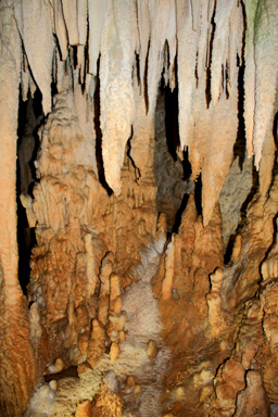 Stalactites & Stalagmites in Aranui photo