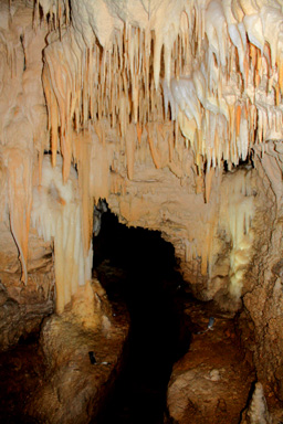 Aranui Flowstone & Stalactites photo