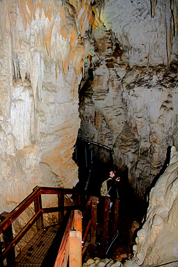 Stariway Through Aranui Cave photo