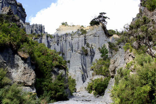 The Pinnacles & Vegetation photo