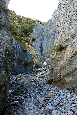 Putangirua Track End photo