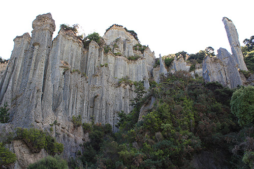 Hoodoos & Native Bush photo