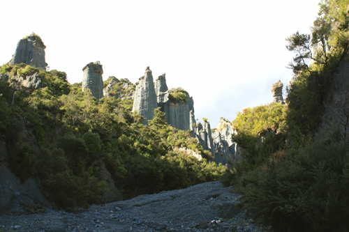 Hoodoos & Forest photo