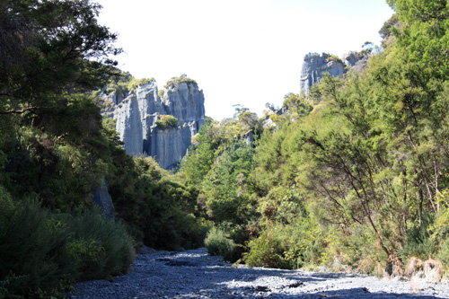 Native Bush & Putangirua Pinnacles photo