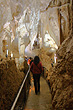 Ruakuri Cave Walkway photo