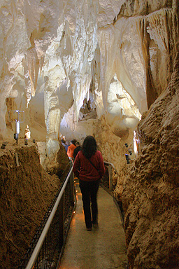 Ruakuri Cave Walkway photo