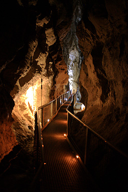 Walkway in Ruakuri Cave photo