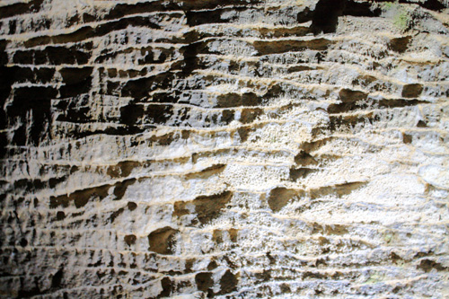 Ruakuri Cave Wall Layers photo