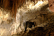 Ruakuri Cavern photo