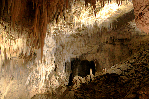 Cavern of Stalactites in Ruakuri Cave photo