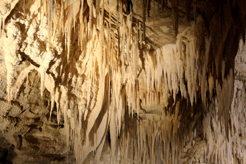 Stalactites in Ruakuri Cave photo