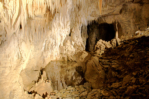 Cavern in Ruakuri Cave photo
