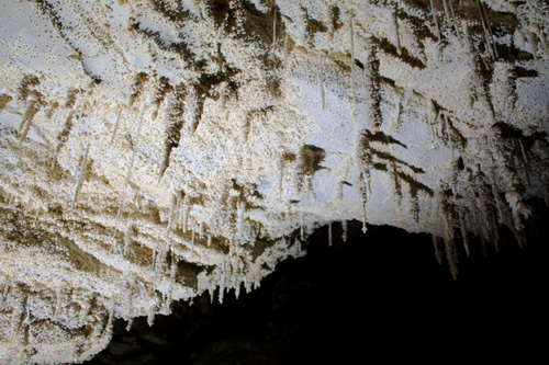 Small Stalactites photo