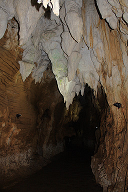 Stalactites in Waitomo Caves photo