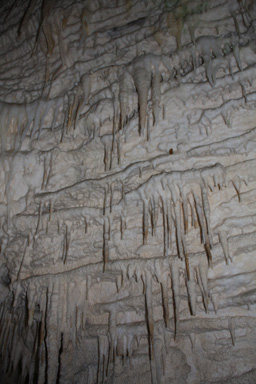 Small Stalactites photo