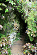 Aranui Cave Entrance photo