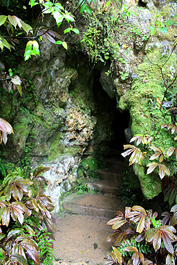 Aranui Cave Entrance photo