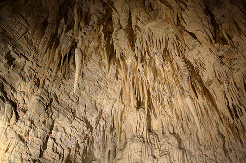 Small Stalactites photo