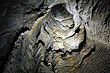 Waitomo Caves I Site Visitor Centre photo