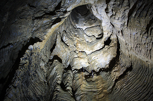 Verticle Shaft in Ruakuri Cave photo