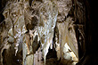 Streaky Bacon Formation Waitomo Caves photo