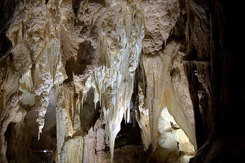 Stalactites & Drapery in Ruakuri Cave photo