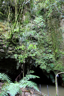 Waitomo Glowworms Cave Exit photo