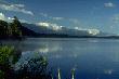 Lake Brunner photo