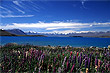 Lake Tekapo photos