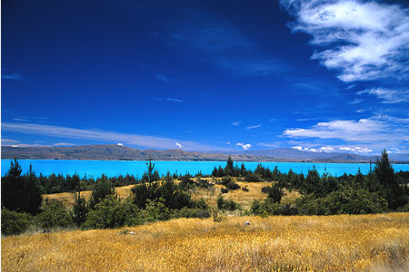 Lake Pukaki photo