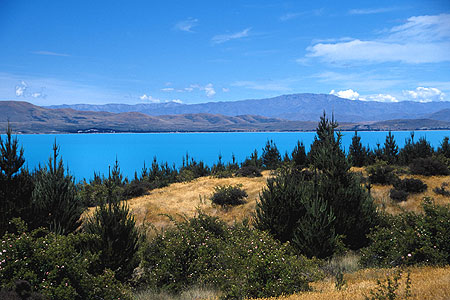 Lake Pukaki photo