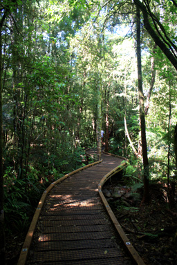 Te Waikoropupu Springs Boardwalk photo