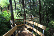 Pupu Springs Walkway photo