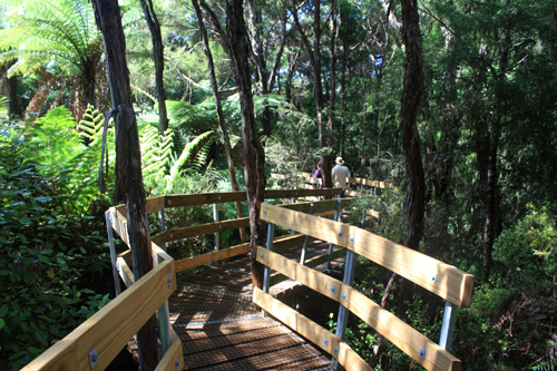 Te Waikoropupu Springs Walkway photo