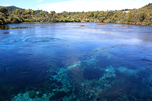 Expansive View of Pupu Springs photo