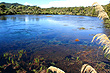 Te Waikoropupu Springs photos