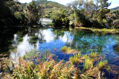 Colours of Te Waikoropupu Springs photo