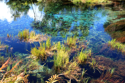 Close Up View of Pupu Springs photo