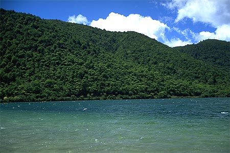 Blue Lake - Lake Tikitapu photo