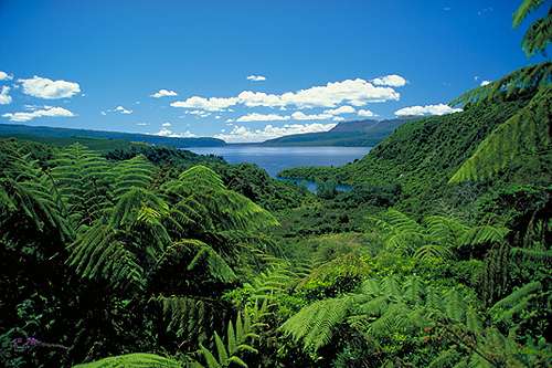 Lake Tarawera photo