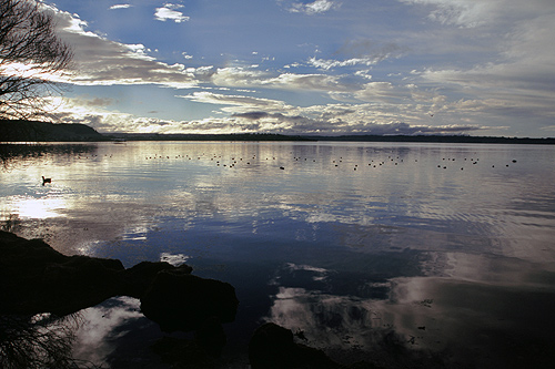 Lake Rotorua photo