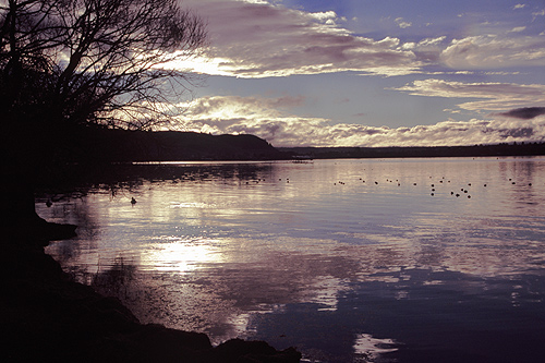 Lake Rotorua photo