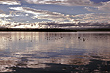 Rotorua Lakes photos