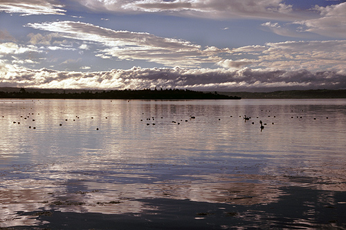 Lake Rotorua photo