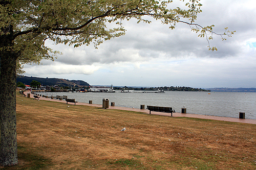 Lake Rotorua View photo