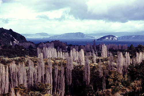 Lake Taupo photo