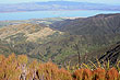 Lake Wairarapa photo