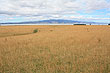 Lake Wairarapa photo