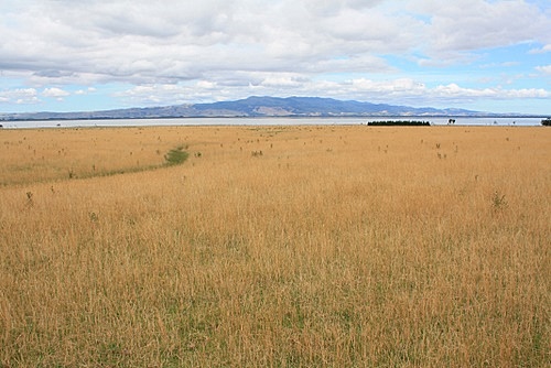 Lake Wairarapa photo